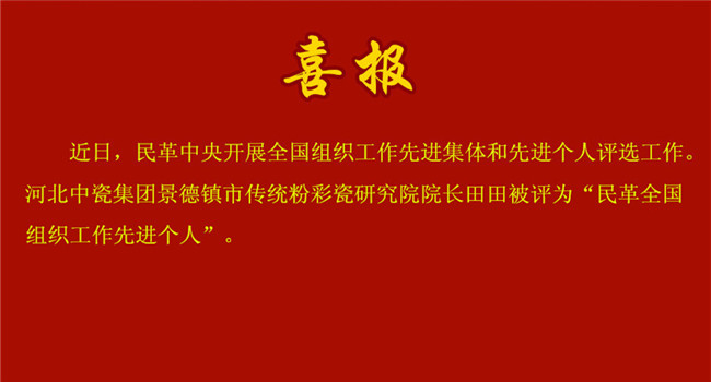 喜報！我院院長田田獲評全國先進！